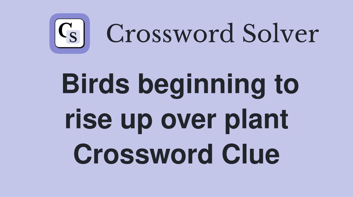 Birds beginning to rise up over plant Crossword Clue Answers